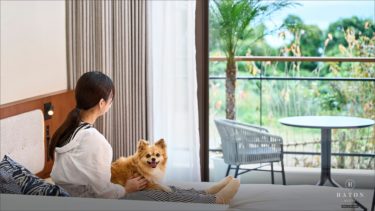 井上咲楽さんも感動！「旅サラダ」で紹介された【BATON SUITE 沖縄古宇利島】〜絶景と美食に包まれる特別なステイ