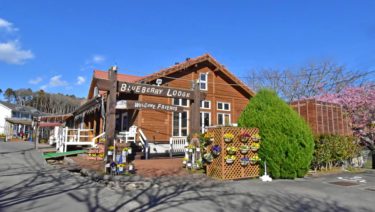 【なりゆき街道旅で紹介】温泉×グランピングの楽園！御殿場高原・時之栖で過ごす癒しの休日