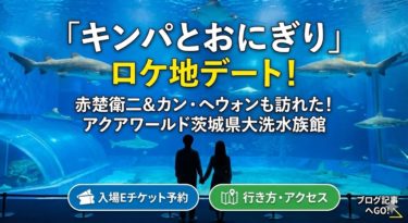 「キンパとおにぎり」赤楚衛二とカン・ヘウォンがデートした水族館はここ！アクアワールド茨城県大洗水族館の入場Eチケットと行き方 39